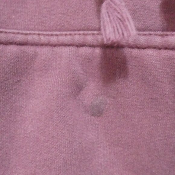 AMERICAN EAGLE OUTFITTERS | large | Cozy Burgundy Pullover Hoodie - Picture 16 of 16